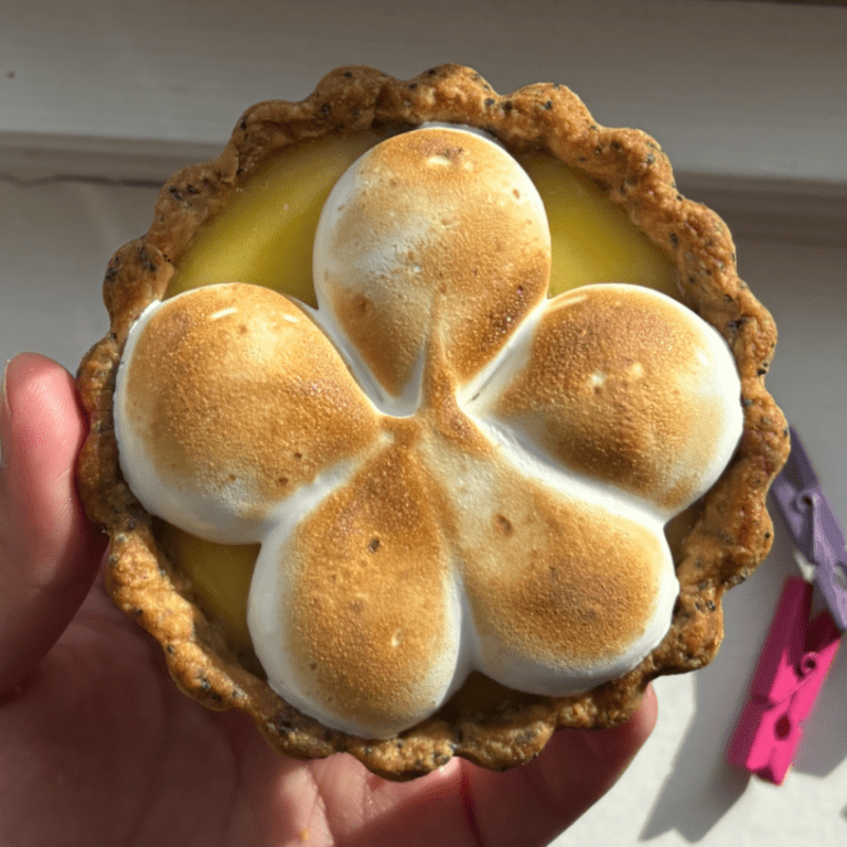 Lemon tartlet with a poppy seed biscuit crust with toasted meringue pipped into a 5 petal flower. There is sunlight hitting the tart